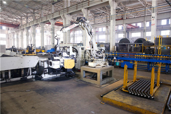 新能源秸稈料鍋爐