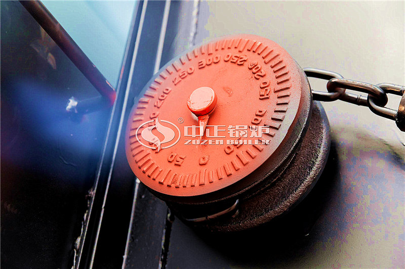 DZL燃?xì)庹羝仩t多少錢一臺(tái)