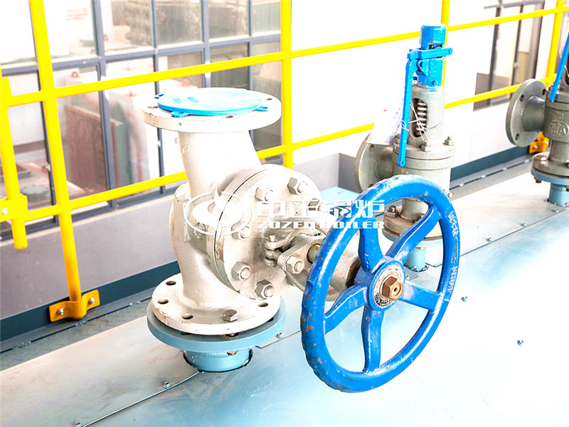 燃氣導熱油鍋爐制造廠環(huán)保嗎